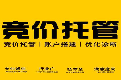 企业SEM外包成功案例分享